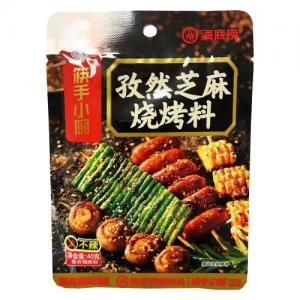 海底捞孜然芝麻烧烤料40g