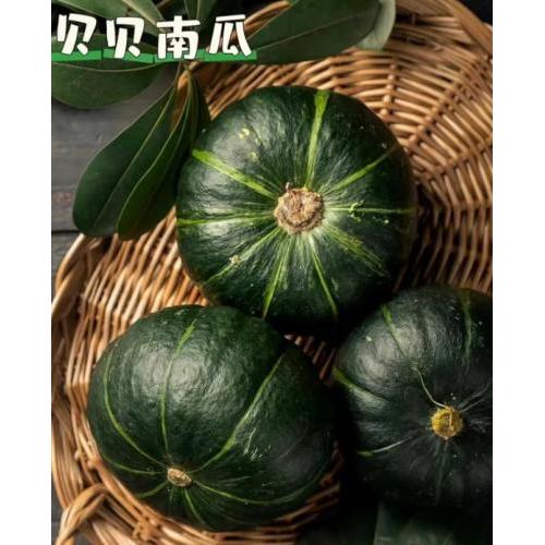 贝贝小南瓜 3个