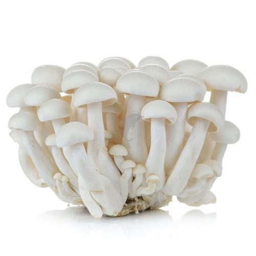 【99p】白玉菇150克