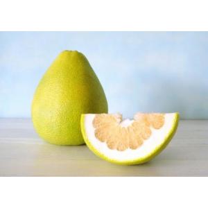 新鲜柚子  1个