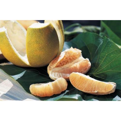 新鲜柚子  1个