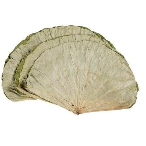 干荷叶 500g